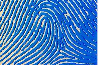 fingerprints.jpg